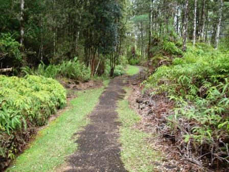 lava tree park path Puna